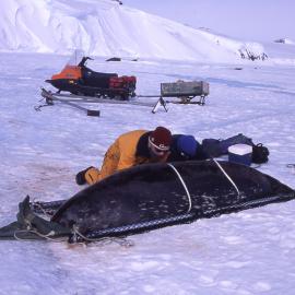 Taking measurements of a seal