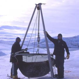 Weighing a seal