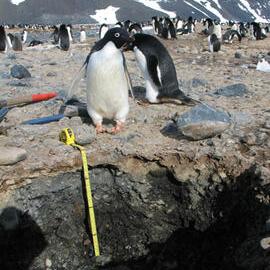 K123 Environmental Protection of Ice-Free Regions of Antarctica