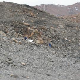 K028 Biodiversity of Terrestrial Arthropods in Southern Victoria Land