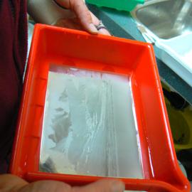 A Daguerreotype made in Antarctica, Scott Base darkroom.