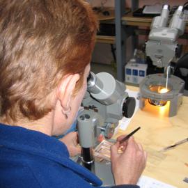 Mary Sewell sorting plankton