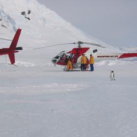 Penguin and helicopters