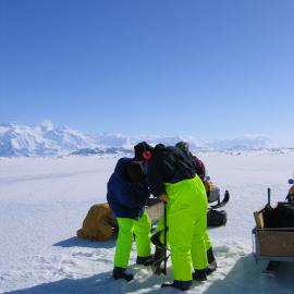 Drilling the plankton hole