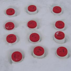 Plankton samples on ice awaiting processing