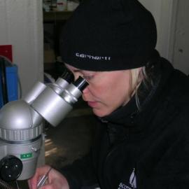 K057 Temperature and Cardiovascular Physiology of Antarctic Fish