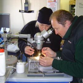 Working in the laboratory