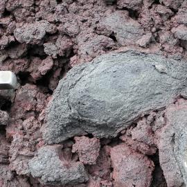 Spindle bomb in rubbly volcanic sediments, Riviera Ridge, Mt Morning