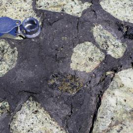 Mantle nodules and pyroxene megacrysts (black) in basalt, Riviera Ridge, Mt Morning