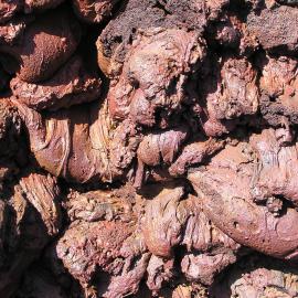Dripping basalt lava, Hurricane Ridge, Mt Morning