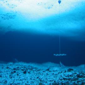 Experimental racks used to examine long-term effects of UV-R on antarctic invertebrate larvae