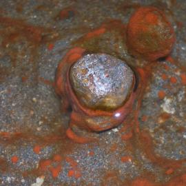 Microbial mats, Orange Pond, Bratina Island