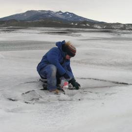 Sampling microbial mats from Pancreas Pond at low tide in the estuary near Bratina Huts, Bratina Island