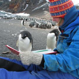 Erica Hofstee and penguins