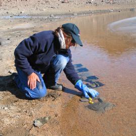 Setting up a photosynthesis experiment