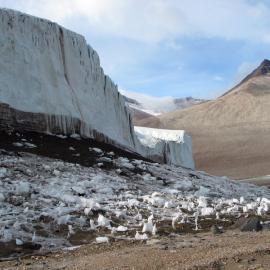 Upper Victoria Glacier and ice garden