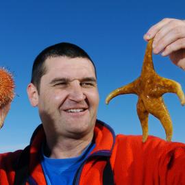 Scientist holding a starfish