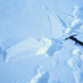 Fractured wind crust with hoar below, Chancellor Ridge