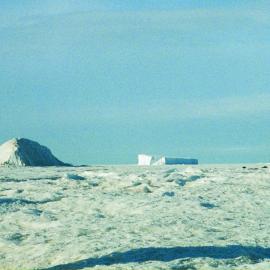 Emperor penguins at Cape Roberts