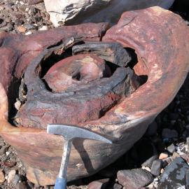 Half of a concretion in Beacon sandstone, Beacon Heights area