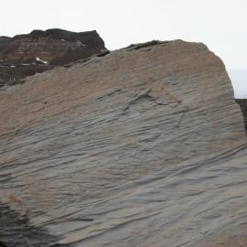 Large block of Aztec siltstone showing sedimentary structures