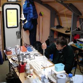 Peter Crittenden at work in the lab