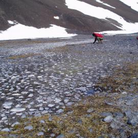 LTER (Long term ecological research project)