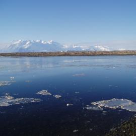 Rachel's slide show of images from K002, covering LGP, various science event photos, penguins etc
