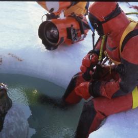 Divers and seal at an ice hole