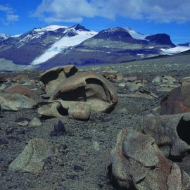 Ventifacts in the McMurdo Dry Valleys