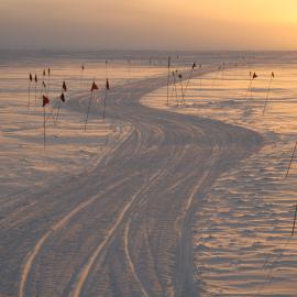 Flags Marking the Road
