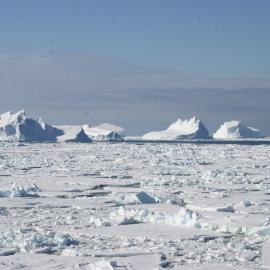 Bergy bits, Franklin Island