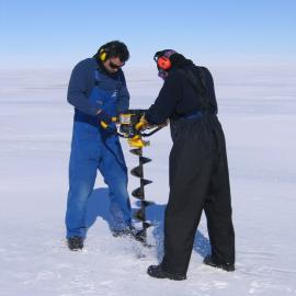 Jiffy drilling a hole to sample Pleuragramma eggs