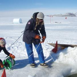 Hauling in the plankton net