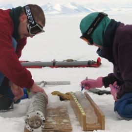 Preparing to section a sea ice core