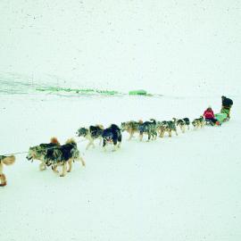 Dog sledge in front of Scott Base, October 1971