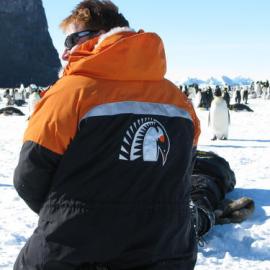 Album: Cape Washington: Iain Miller and Emperor penguins