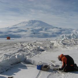 Phil Emnet collecting seal faeces, with Mt Erebus in the distance