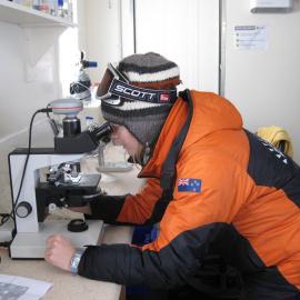 Examining embryos through a microscope in the Scott Base wet lab