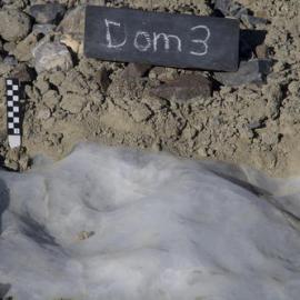 Album: CTAM (Central Trans-Antarctic Mountains) camp at Beardmore Glacier area