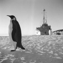 Trans Antarctic Expedition