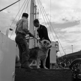 Exercising dogs on 'Endeavour'