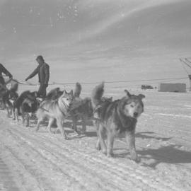Dog team setting out across sea ice.