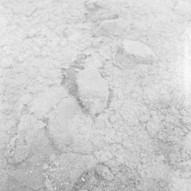 Algal growth on stone in 18" of water