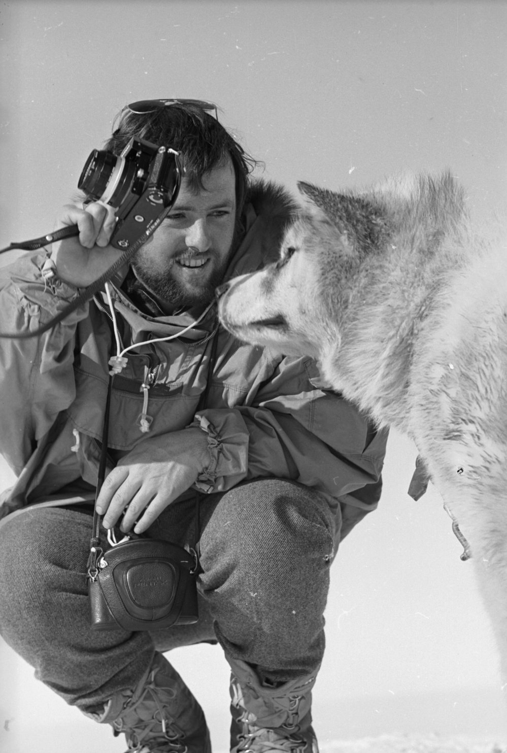 Husky and Photographer