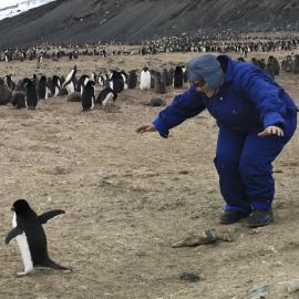 BIRD 18-1-09__0206.tif
