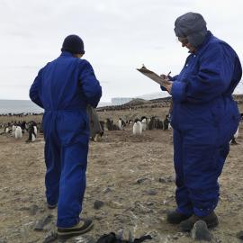 BIRD 18-1-09__0181.tif