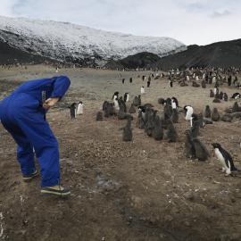 BIRD 18-1-09__0152.tif