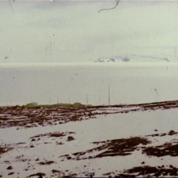 DSIR Survival Training