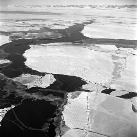 Sea Ice 
